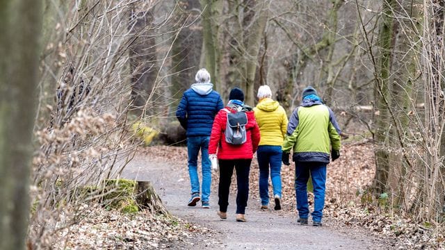 Spaziergänger sind in einem Wald im Naturschutzgebiet Riddagshausen unterwegs. Spaziergänger sind in einem Wald im Naturschutzgebiet Riddagshausen unterwegs.