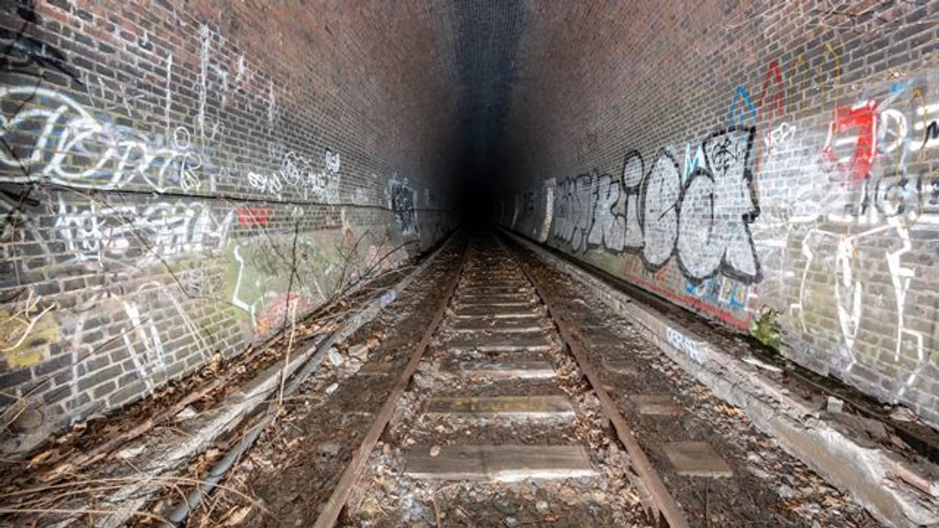 Blick durch das Südportal in den stillgelegten Schellfischtunnel (Archivbild): Die CDU will den Tunnel für Hambuger wieder zugängig machen.
