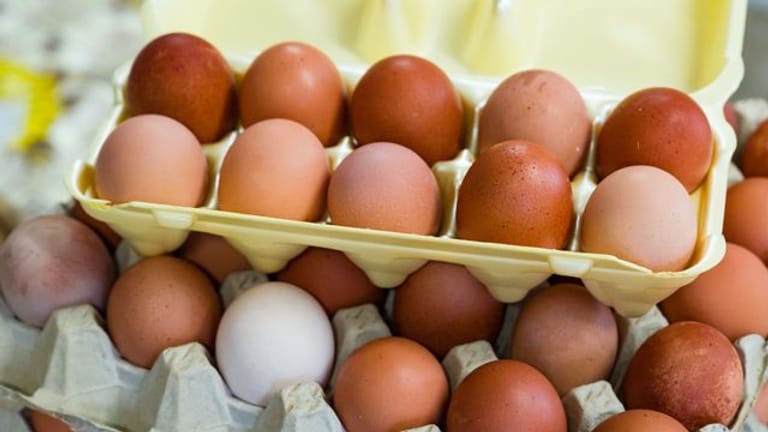 Eier: Fast 40 Prozent der deutschen Eier kamen aus niedersächsischen Betrieben.