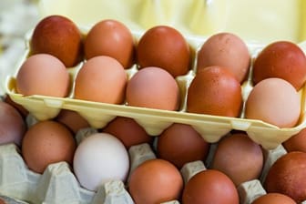 Eier: Fast 40 Prozent der deutschen Eier kamen aus niedersächsischen Betrieben.