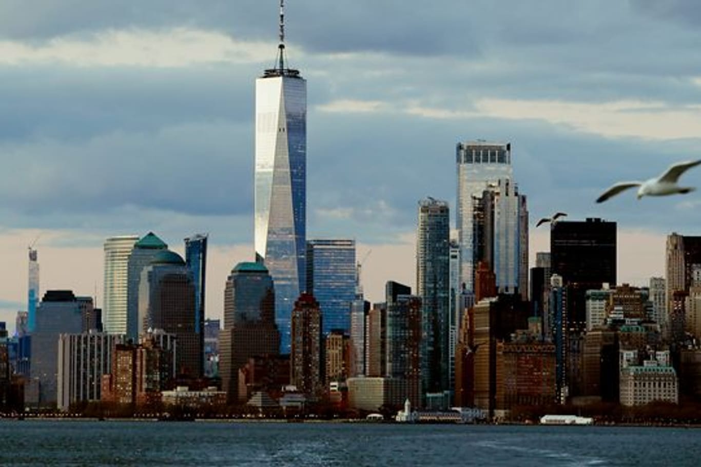 Die Skyline von New York City: In der Stadt sind mehrfach Polioviren gefunden worden.