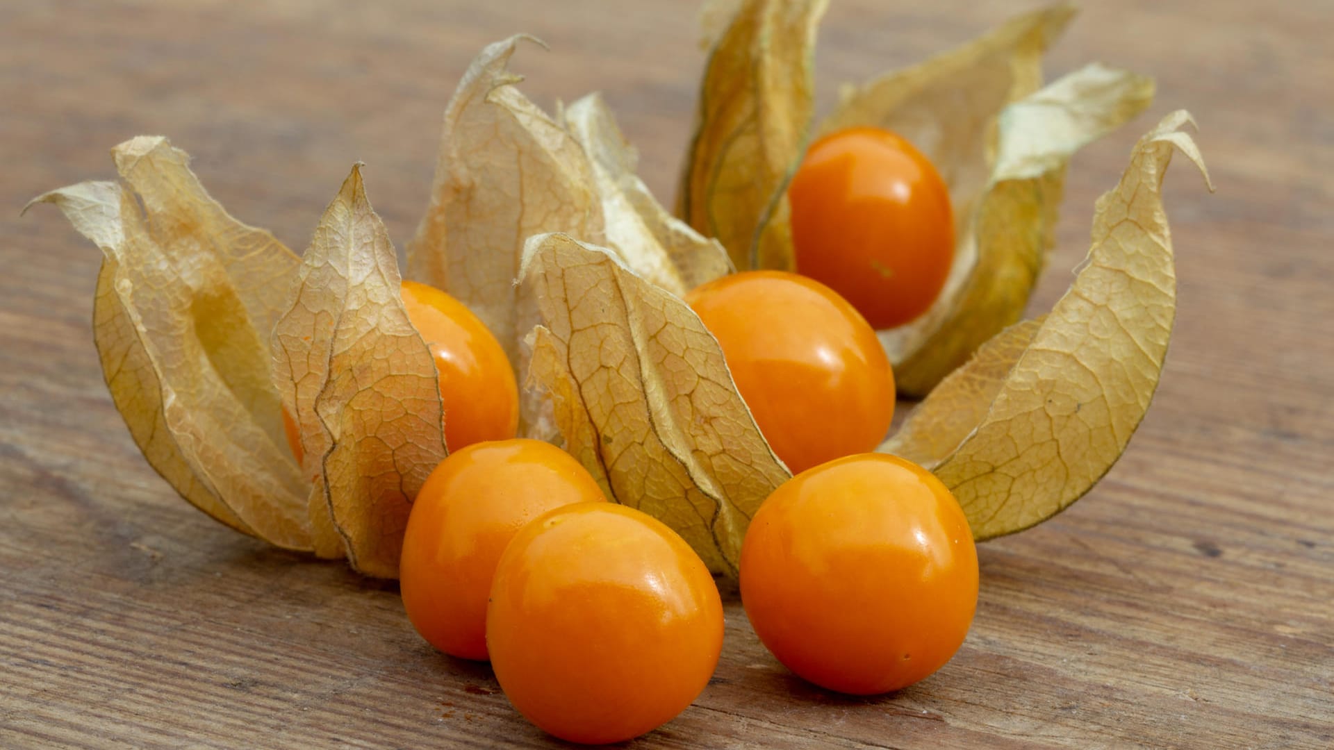 Physalis: Sie stammt aus Peru und Chile.