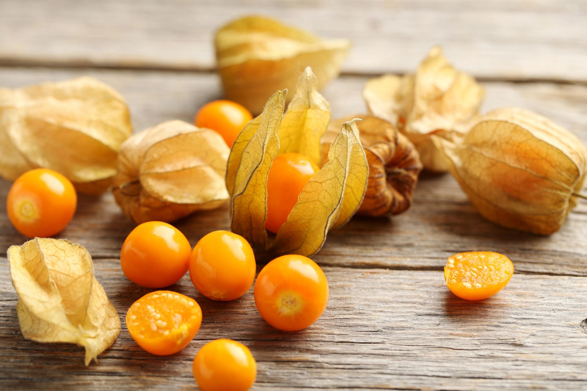 Physalis: Auch die kleinen Kerne können mitgegessen werden.