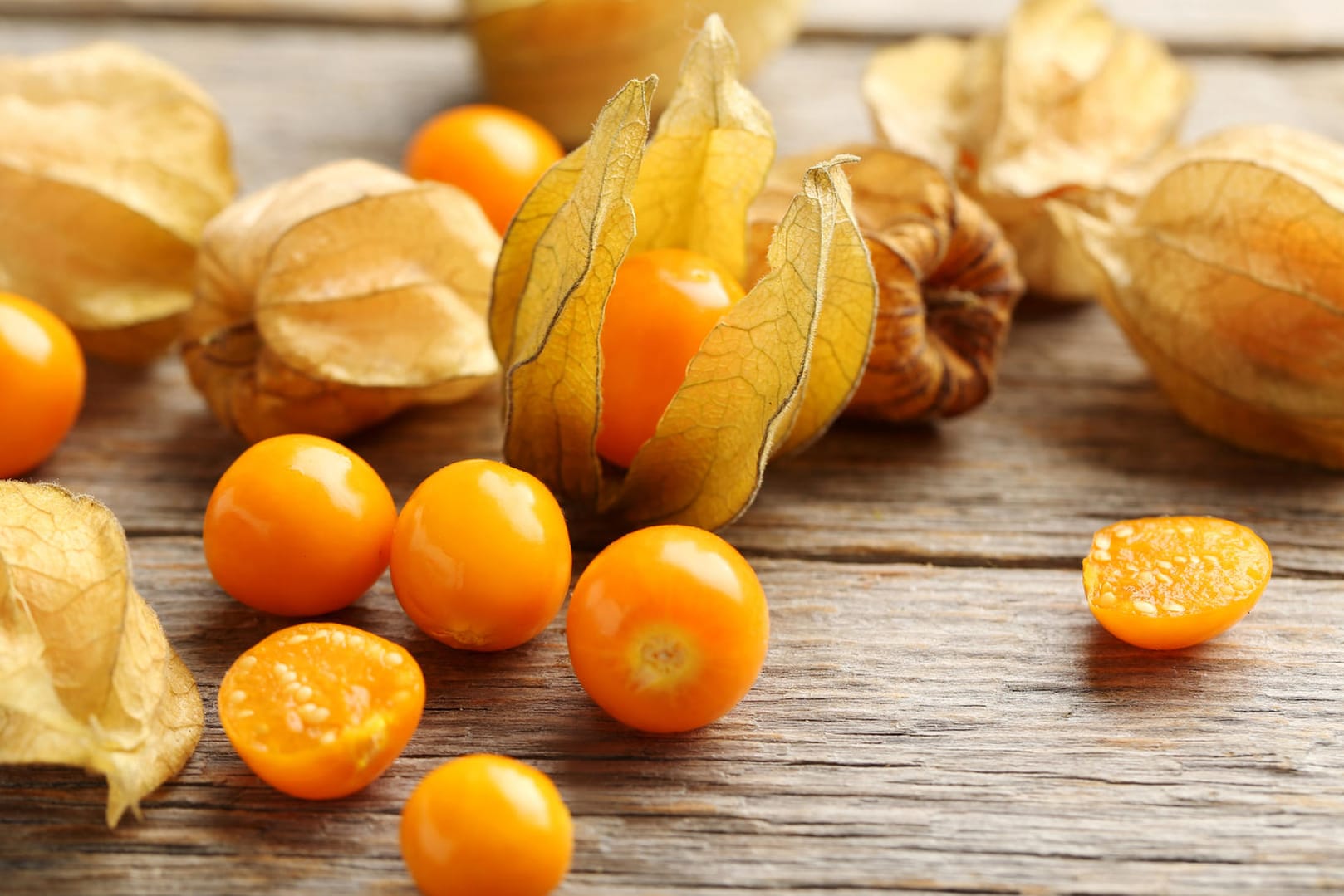 Physalis: Auch die kleinen Kerne können mitgegessen werden.