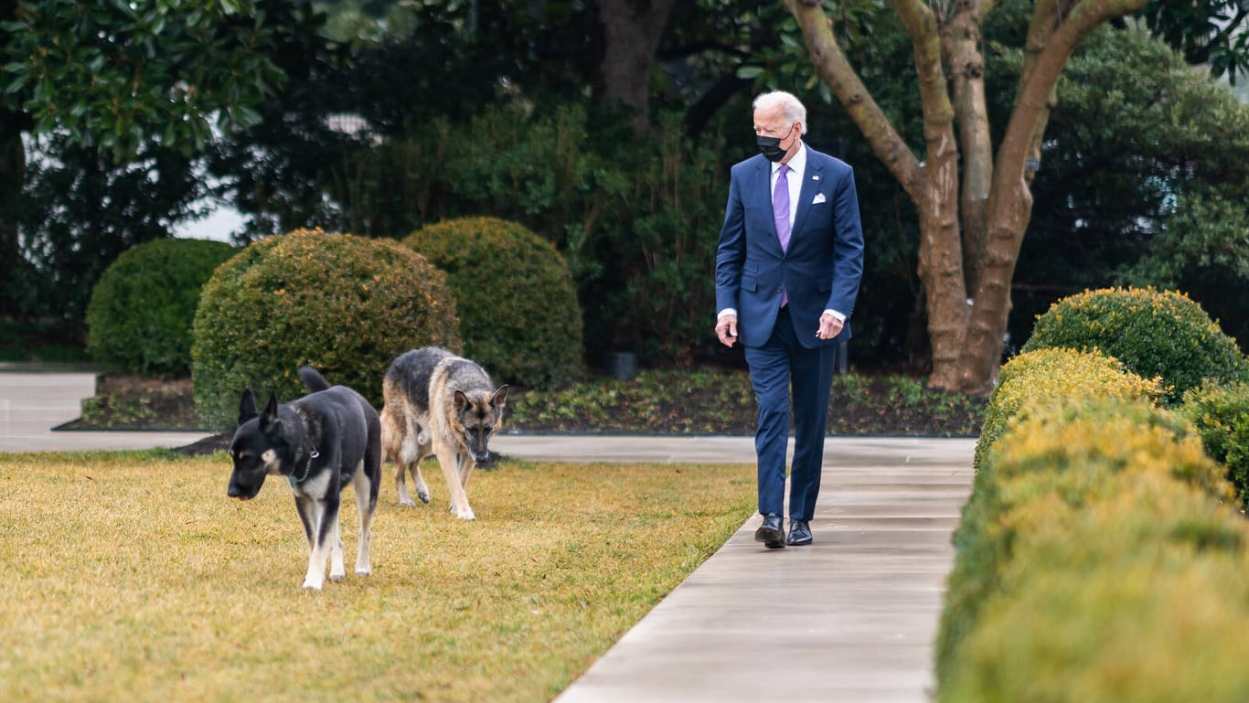 US-Präsident Joe Biden und die "First Dogs": Biden hatte in einem Interview mit dem Sender ABC bereits angekündigt, dass ein Hundetrainer mit "Major" arbeite, nachdem es im Weißen Haus einen Zwischenfall gegeben hatte.