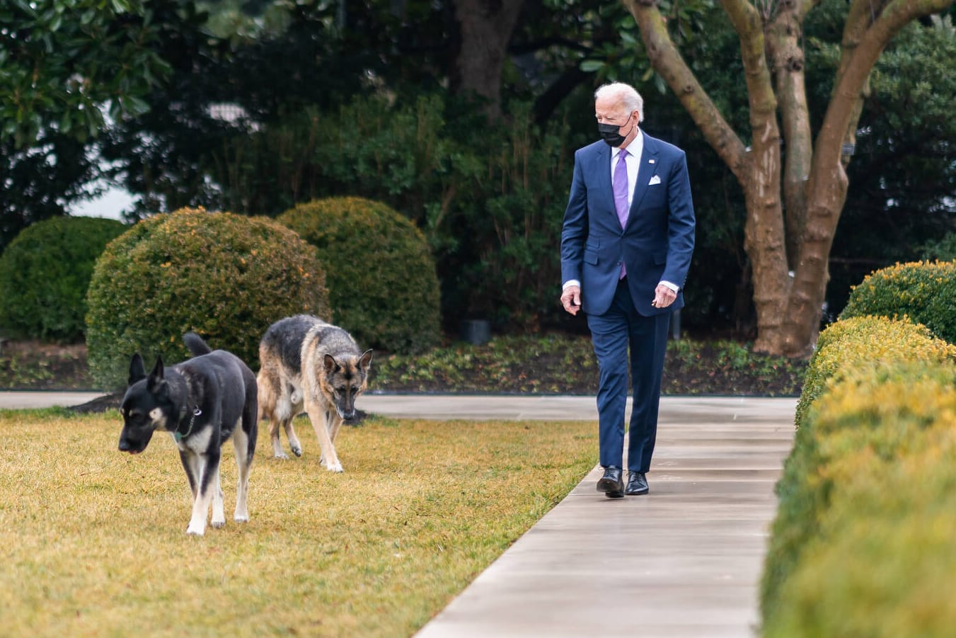 US-Präsident Joe Biden und die "First Dogs": Biden hatte in einem Interview mit dem Sender ABC bereits angekündigt, dass ein Hundetrainer mit "Major" arbeite, nachdem es im Weißen Haus einen Zwischenfall gegeben hatte.