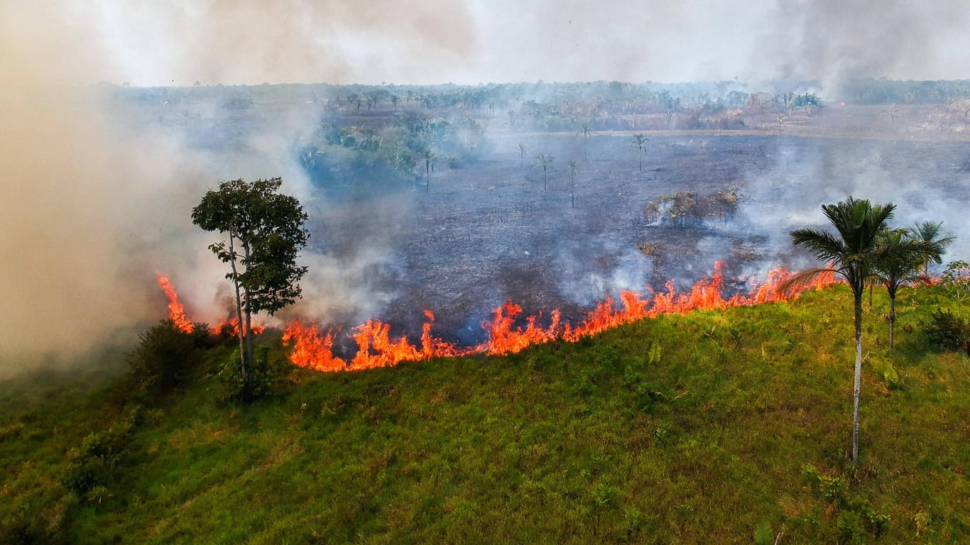 Waldbrände im südlichen Amazonas-Gebiet: Dort wurden 25 Prozent mehr Regenwald als 2019 zerstört.