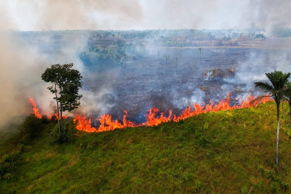 Waldbrände im südlichen Amazonas-Gebiet: Dort wurden 25 Prozent mehr Regenwald als 2019 zerstört.