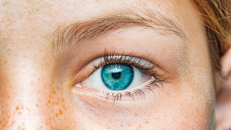 Augengesundheit: Lider, Bindehaut, Tränenfilm und Hornhaut beeinflussen sich gegenseitig.