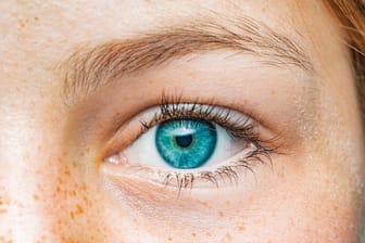 Augengesundheit: Lider, Bindehaut, Tränenfilm und Hornhaut beeinflussen sich gegenseitig.