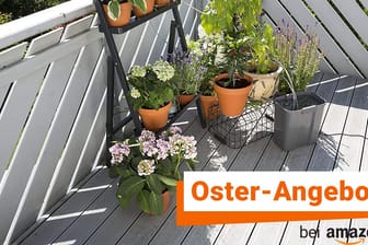 Letzter Tag der Amazon-Oster-Deals: Das praktische Gardena-Bewässerungssystem ist heute zum Rekordpreis erhältlich.