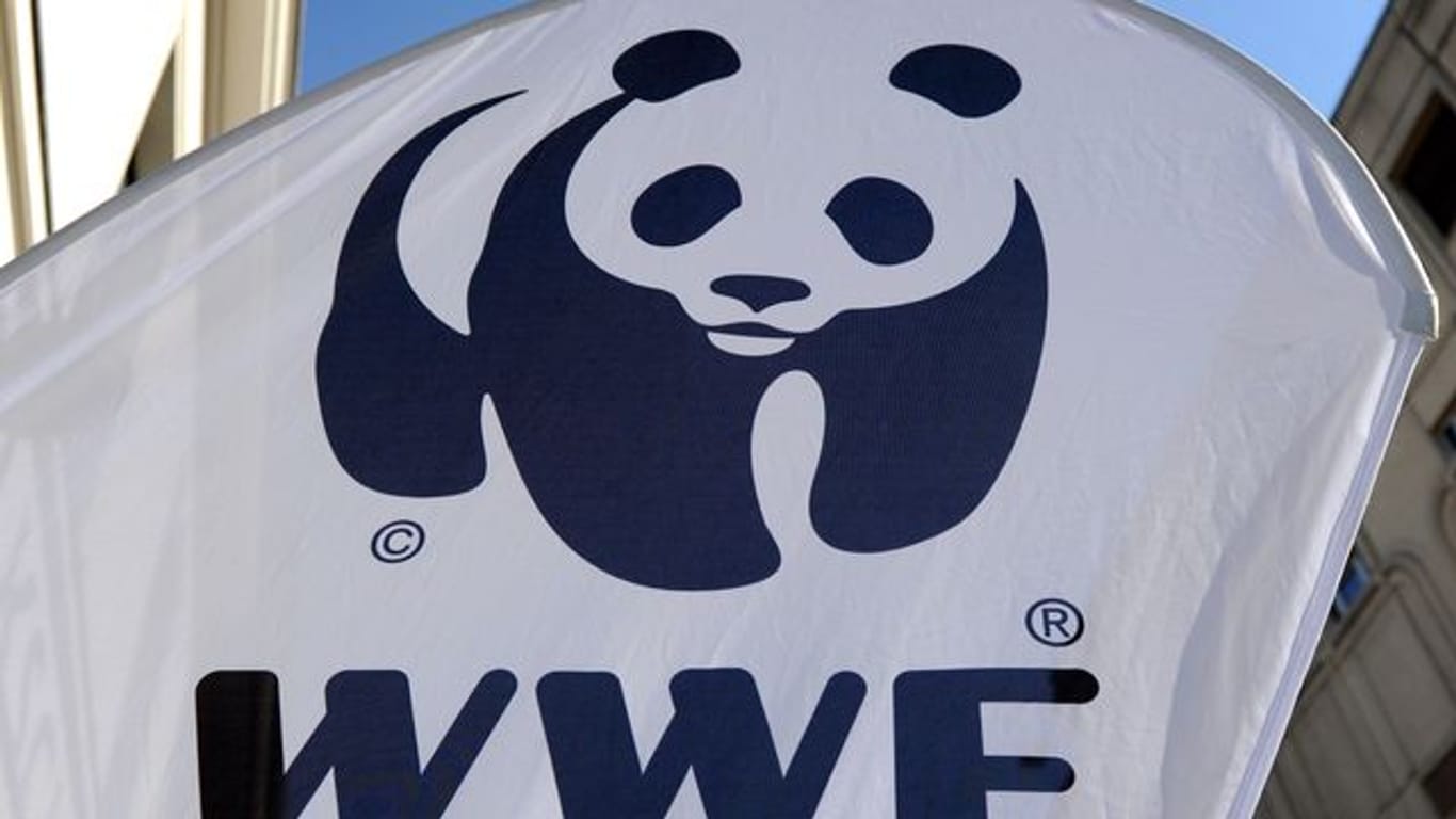 Laut WWF hat Deutschland versäumt, den Plan an EU-Maßgaben aus dem Jahr 2014 anzupassen.