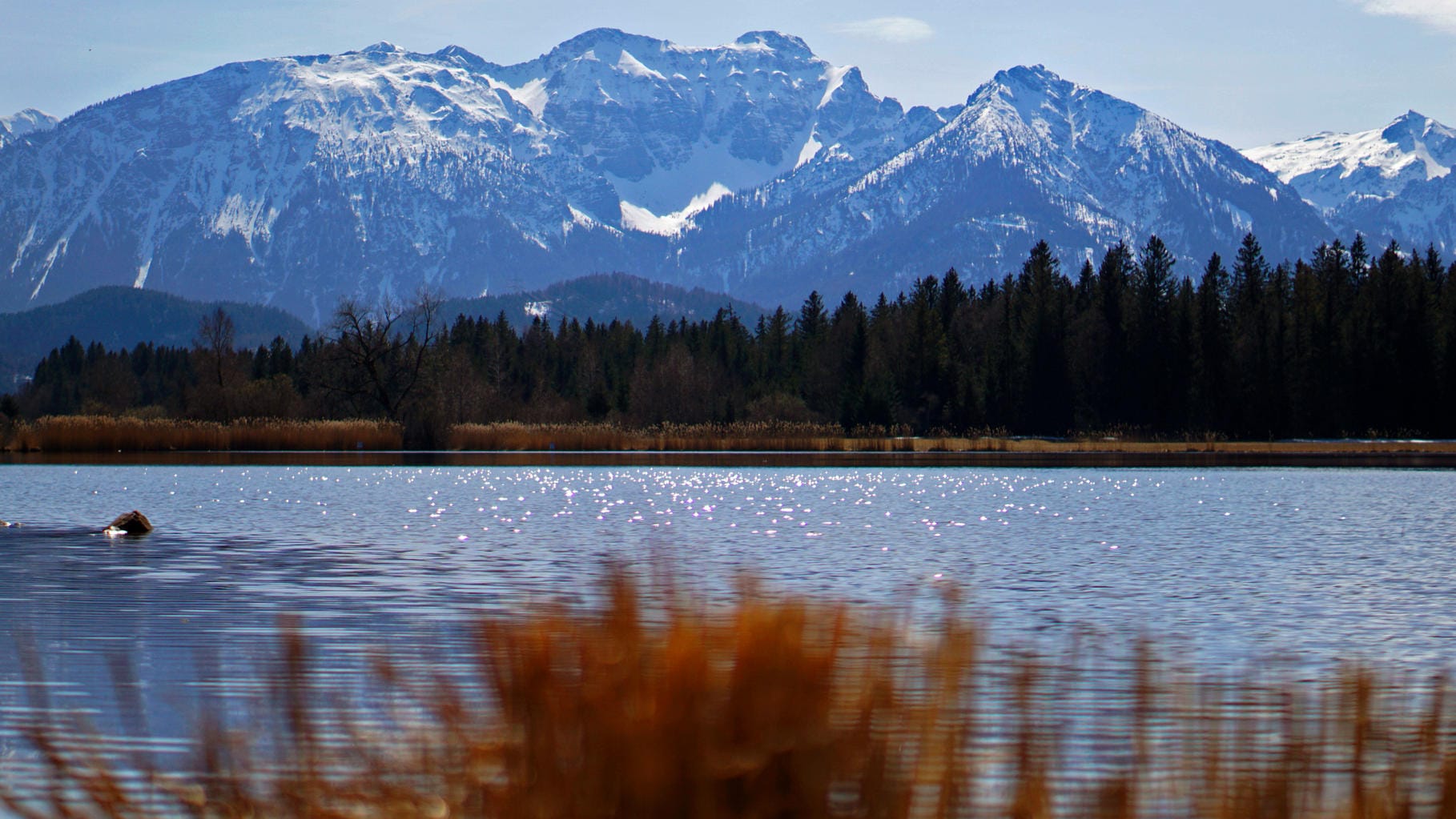 Die Allgäuer Alpen: Eine Wanderin ist 150 Meter in die Tiefe gestürzt und gestorben. Die Allgäuer Alpen: Eine Wanderin ist 150 Meter in die Tiefe gestürzt und gestorben.