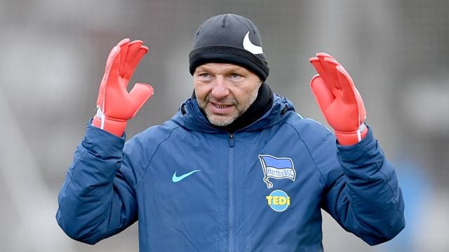 Muss als Torwart-Trainer bei Hertha BSC gehen: Zsolt Petry. Muss als Torwart-Trainer bei Hertha BSC gehen: Zsolt Petry.