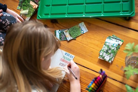 Bei dem Projekt können Kinder viel über das Wachstum von Pflanzen lernen.