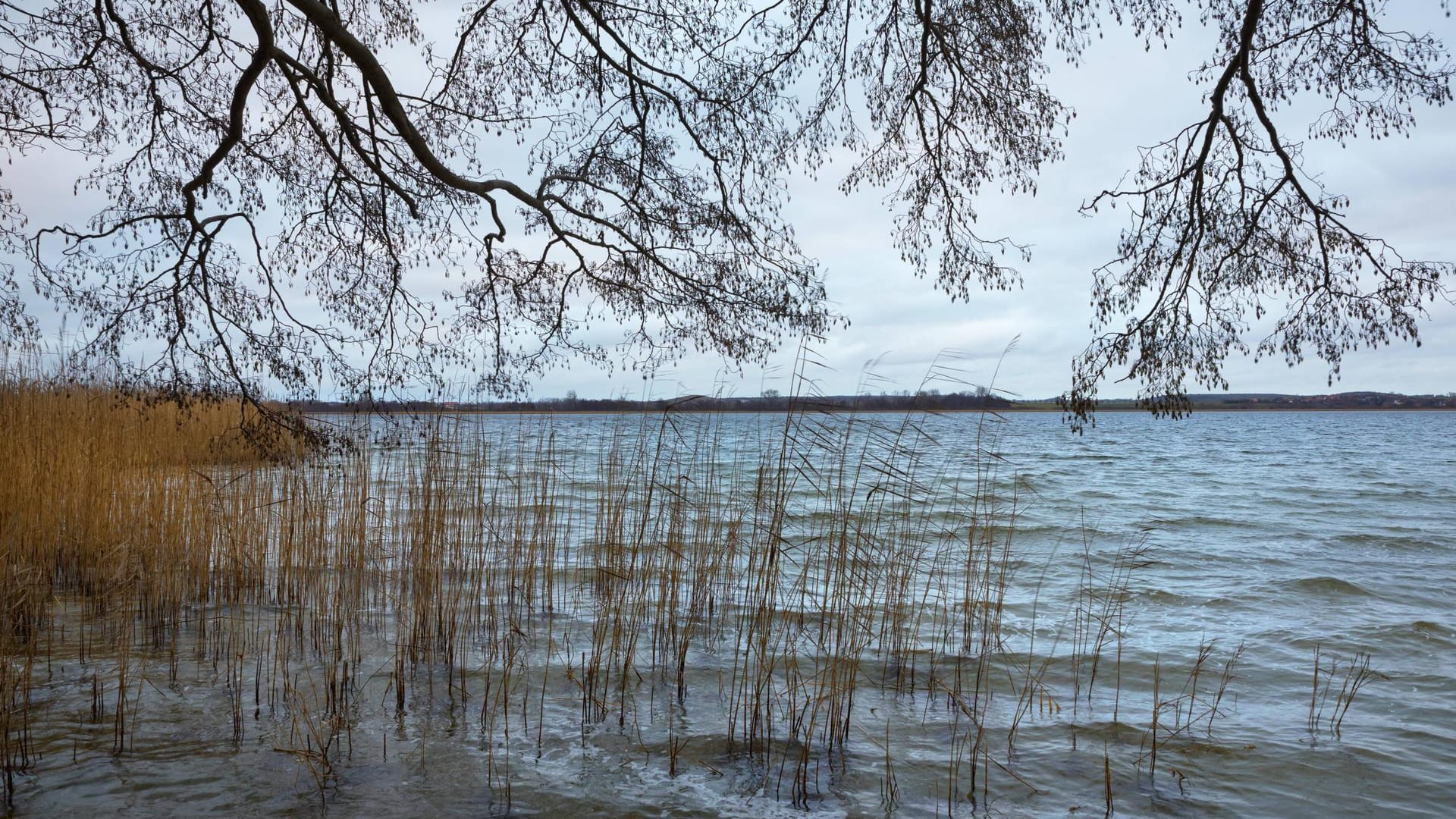 Der Oberuckersee in Brandenburg (Archivbild): Hier sucht die Polizei nach Leichen, die vor rund zwei Jahrzehnten hier versenkt worden sein könnten.