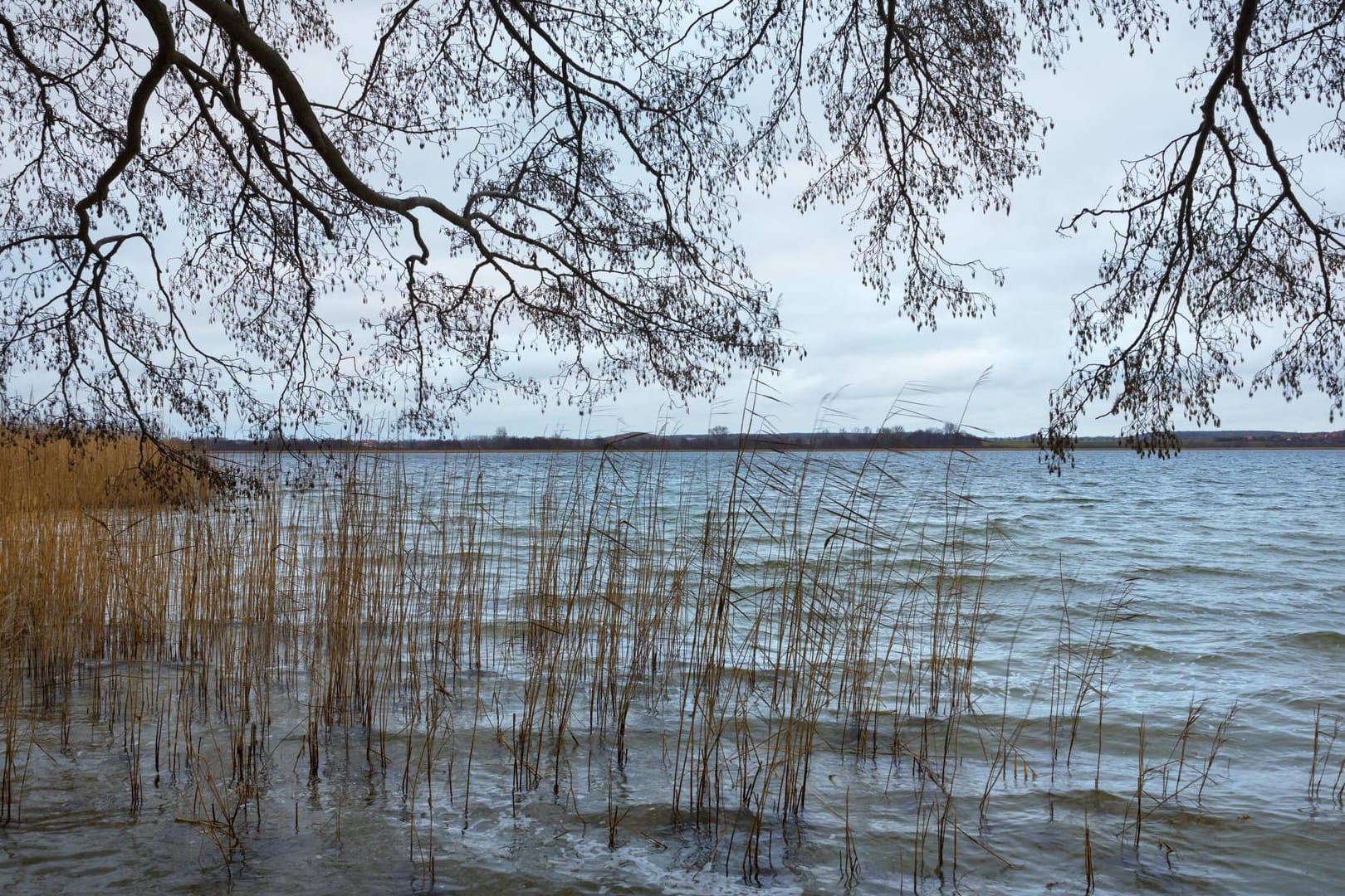 Der Oberuckersee in Brandenburg (Archivbild): Hier sucht die Polizei nach Leichen, die vor rund zwei Jahrzehnten hier versenkt worden sein könnten.