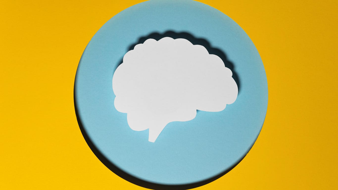 Ausgeschnittenes Gehirn: Diese 20 Fragen bringen Ihr Gehirn so richtig zum Qualmen.