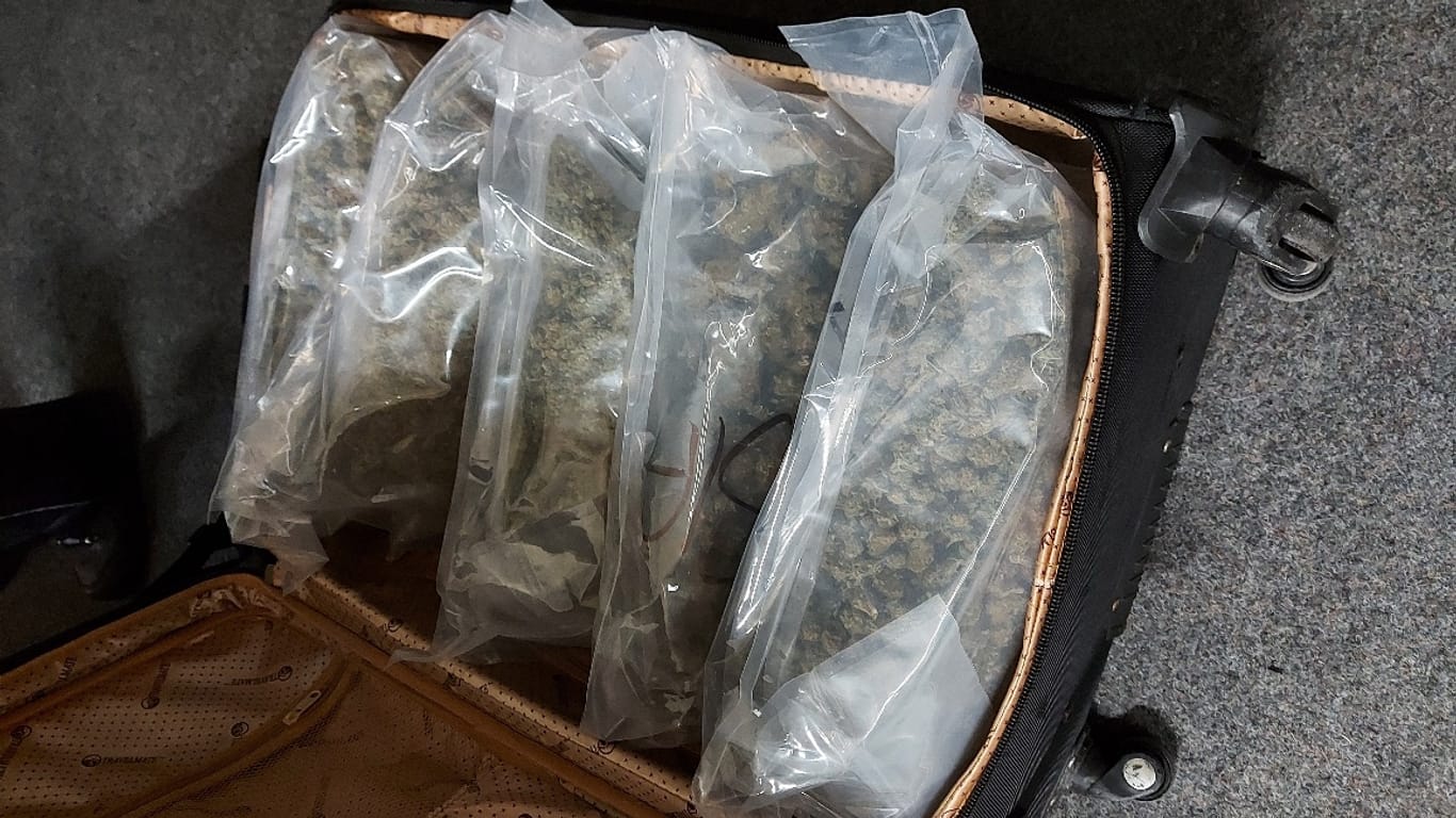 Fünf Tüten mit Marihuana liegen in einem Koffer: Die Fracht wurde vom Kieler Zoll beschlagnahmt.