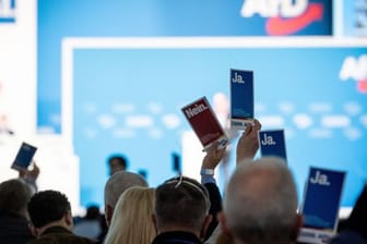 Delegierte heben in der Dresdener Messehalle beim Bundesparteitag der AfD ihre Stimmkarten.