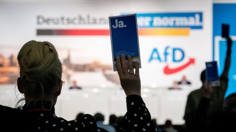 Delegierte heben beim Bundesparteitag der AfD ihre Stimmkarten: Das Parteiprogramm wird verschärft.
