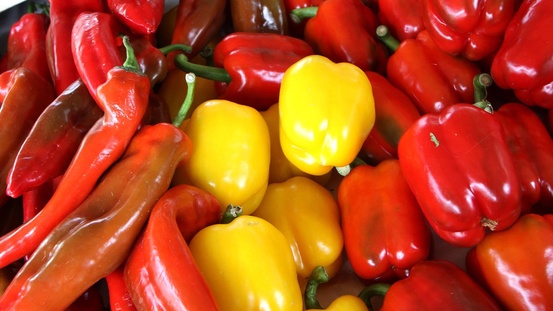 Paprika: Für ein Kilogramm müssen Kunden zum Teil bis zu 9 Euro zahlen.