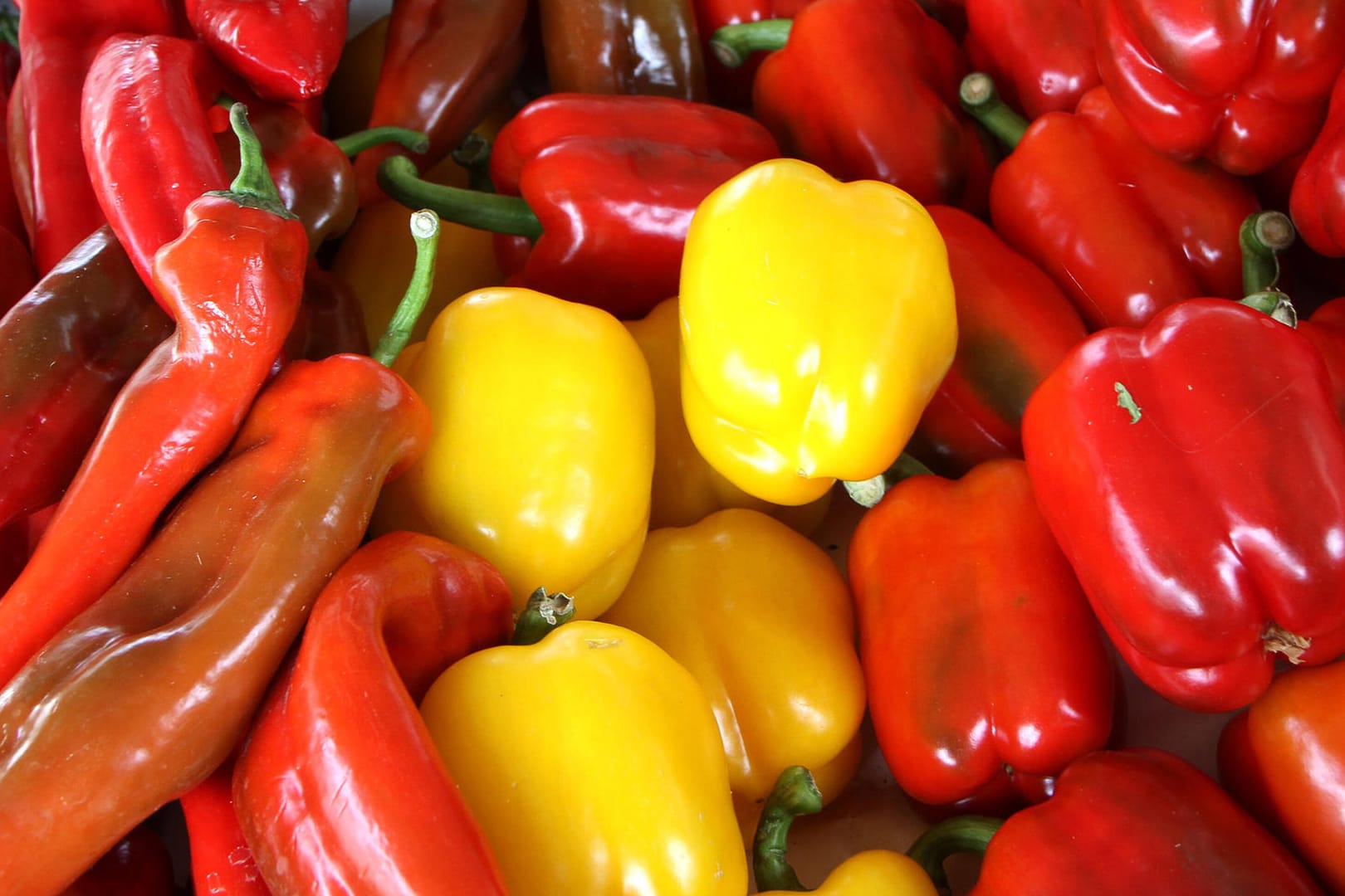 Paprika: Für ein Kilogramm müssen Kunden zum Teil bis zu 9 Euro zahlen.