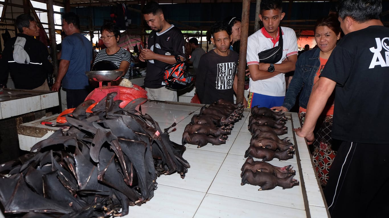 Fledermäuse auf einem Markt in Indonesien: Fledermäuse sind Träger von Coronaviren.