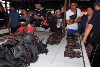 Fledermäuse auf einem Markt in Indonesien: Fledermäuse sind Träger von Coronaviren.