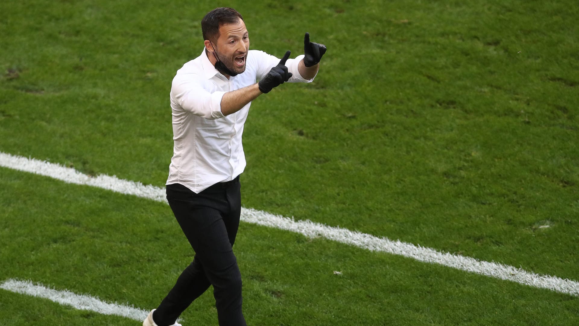 Domenico Tedesco: War in der Bundesliga bereits Trainer von Schalke 04.