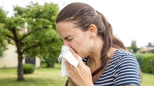 Heuschnupfen: Wenn es im Frühjahr blüht, haben viele Pollenallergiker mit Niesattacken und einer immerzu laufenden Nase zu kämpfen.