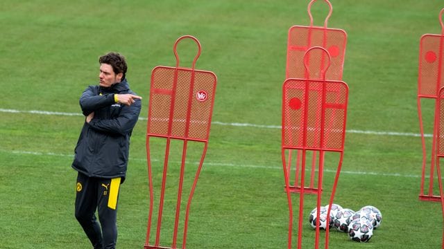 Kann gegen Manchester City auf Mats Hummels, Marco Reus und Jude Bellingham bauen: Trainer Edin Terzic. Kann gegen Manchester City auf Mats Hummels, Marco Reus und Jude Bellingham bauen: Trainer Edin Terzic.