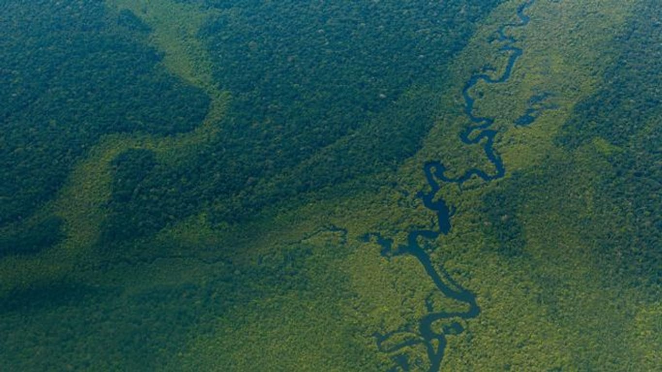 Luftblick auf den Wald im Amazonas nahe Sao Gabriel da Cachoeira.
