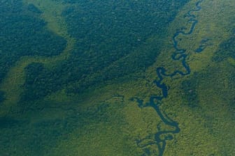 Luftblick auf den Wald im Amazonas nahe Sao Gabriel da Cachoeira.