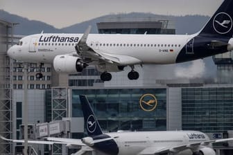 Eine Passagiermaschine der Lufthansa landet in Frankfurt (Archivbild): In Frankfurt, München und Hamburg will die Lufthansa ihre Mitarbeiter gegen Corona impfen.