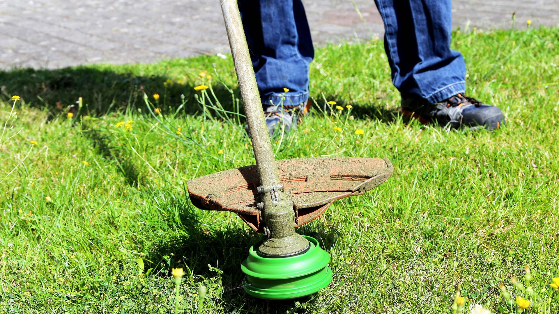 Mit einem Rasentrimmer bereiten Sie den Garten für den Frühling vor.