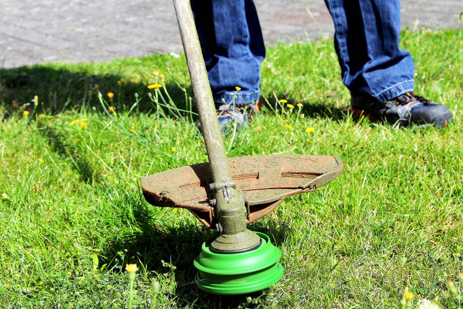 Mit einem Rasentrimmer bereiten Sie den Garten für den Frühling vor.