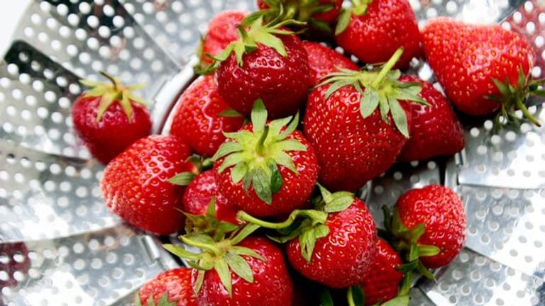 Erdbeeren verlieren schnell an Aroma, wenn sie einem zu starkem Wasserstrahl oder einem langen Wasserbad ausgesetzt sind.