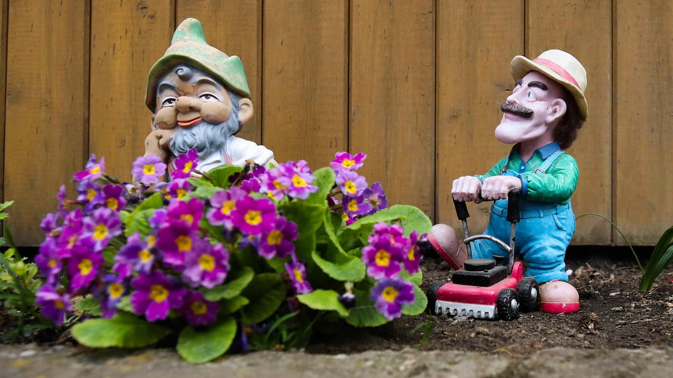 Gartenzwerge (Symbolbild): Die Figuren sind im Vereinigten Königreich offensichtlich knapp geworden.