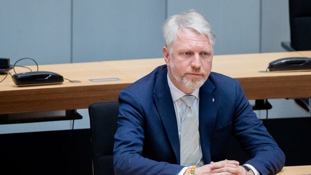 Sebastian Scheel (Die Linke)
