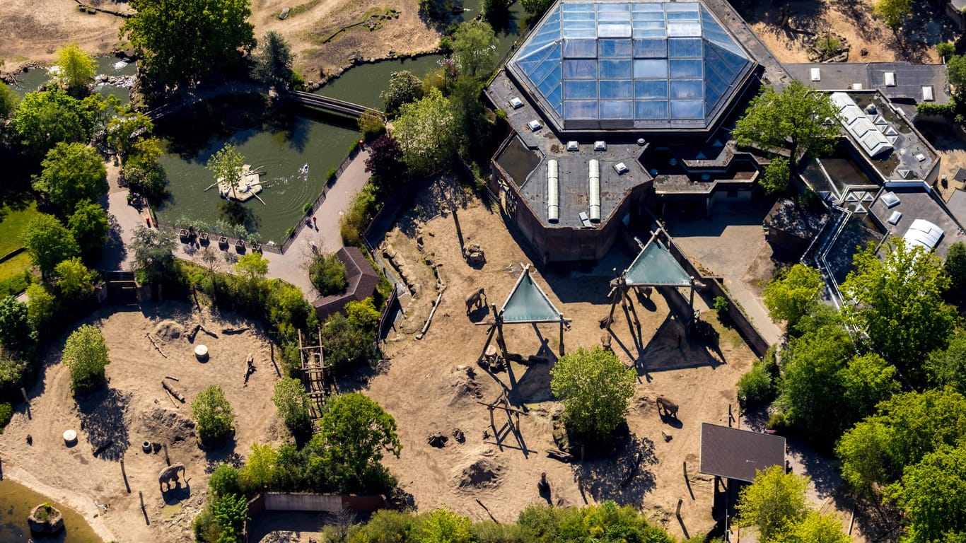Der Zoo in Münster: Ein Rentner hat den Tierpark mit einer Rekordsumme bedacht.