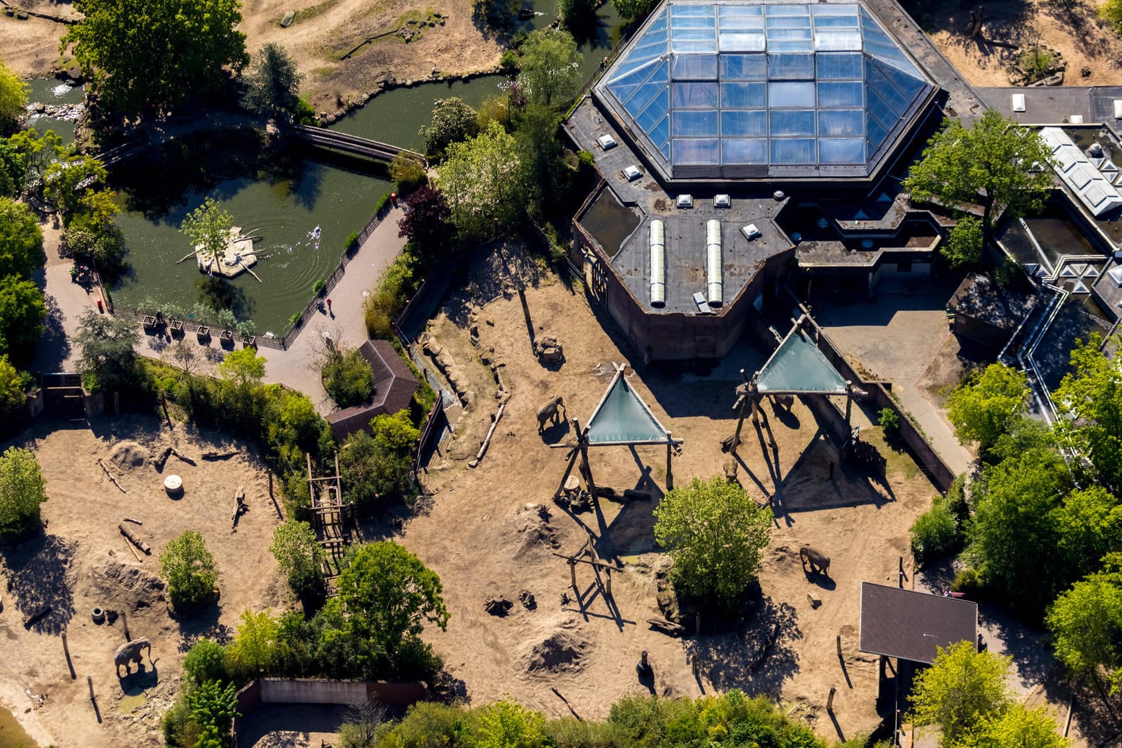 Der Zoo in Münster: Ein Rentner hat den Tierpark mit einer Rekordsumme bedacht.