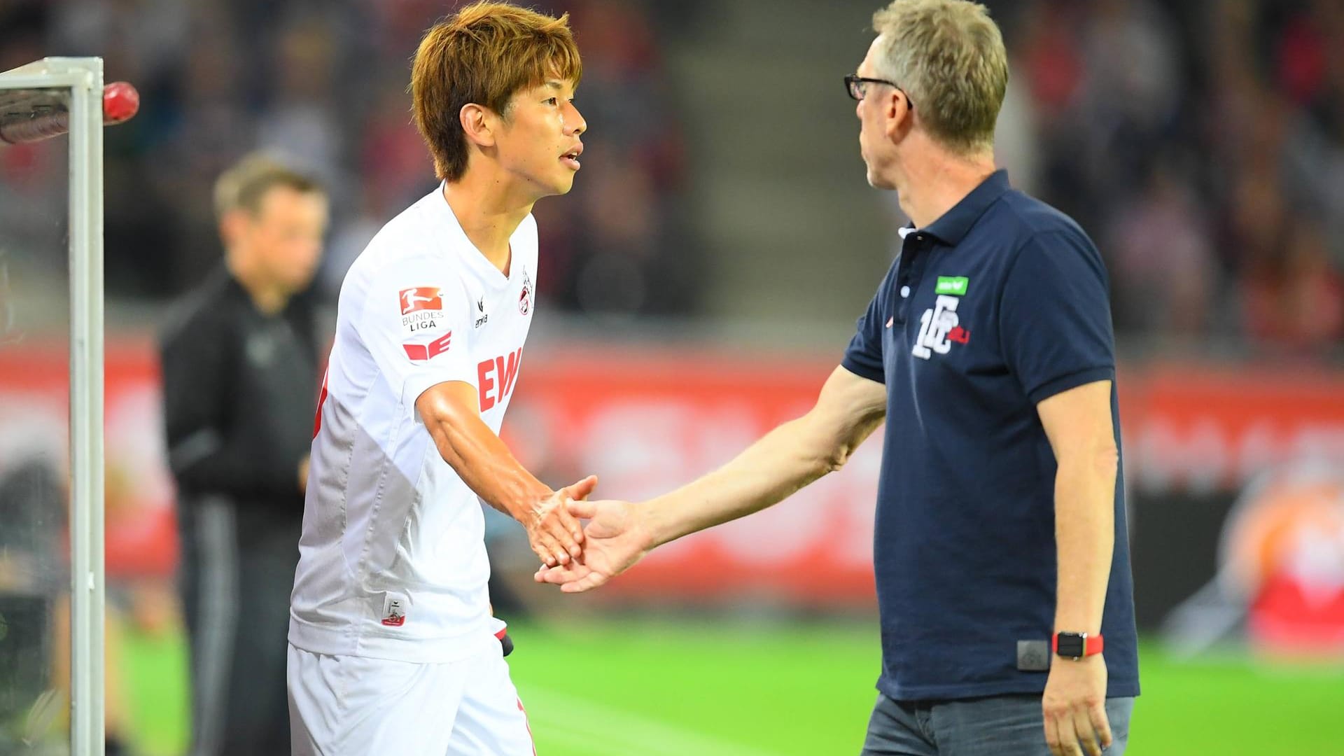 Peter Stöger (r.) bei einem Bundesligaspiel im September 2016 mit Yuya Osako (Archivbild): Der Trainer mit FC-Vergangenheit könnte nach Friedhelm Funkels Rettungaktion wieder übernehmen.