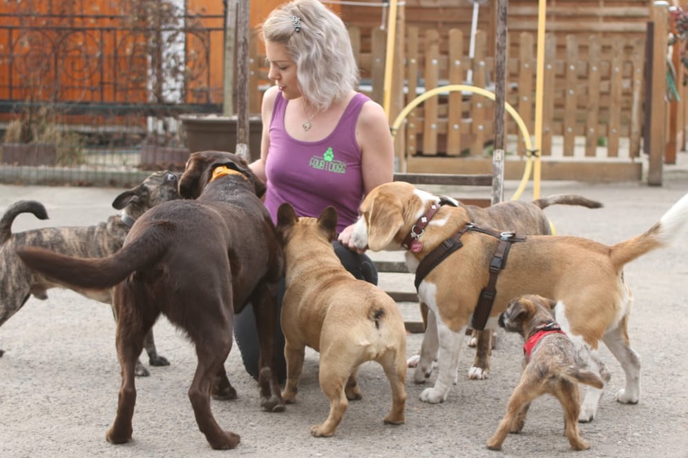 Laura Heppe inmitten ihrer Pensionshunde: Seit der Corona-Pandemie bringen weniger Hundehalter ihr Tier zum Spielen vorbei.