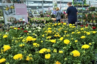 Blick in ein Gartencenter (Symbolbild): Heimgärtnern wurde durch Corona sehr beliebt.