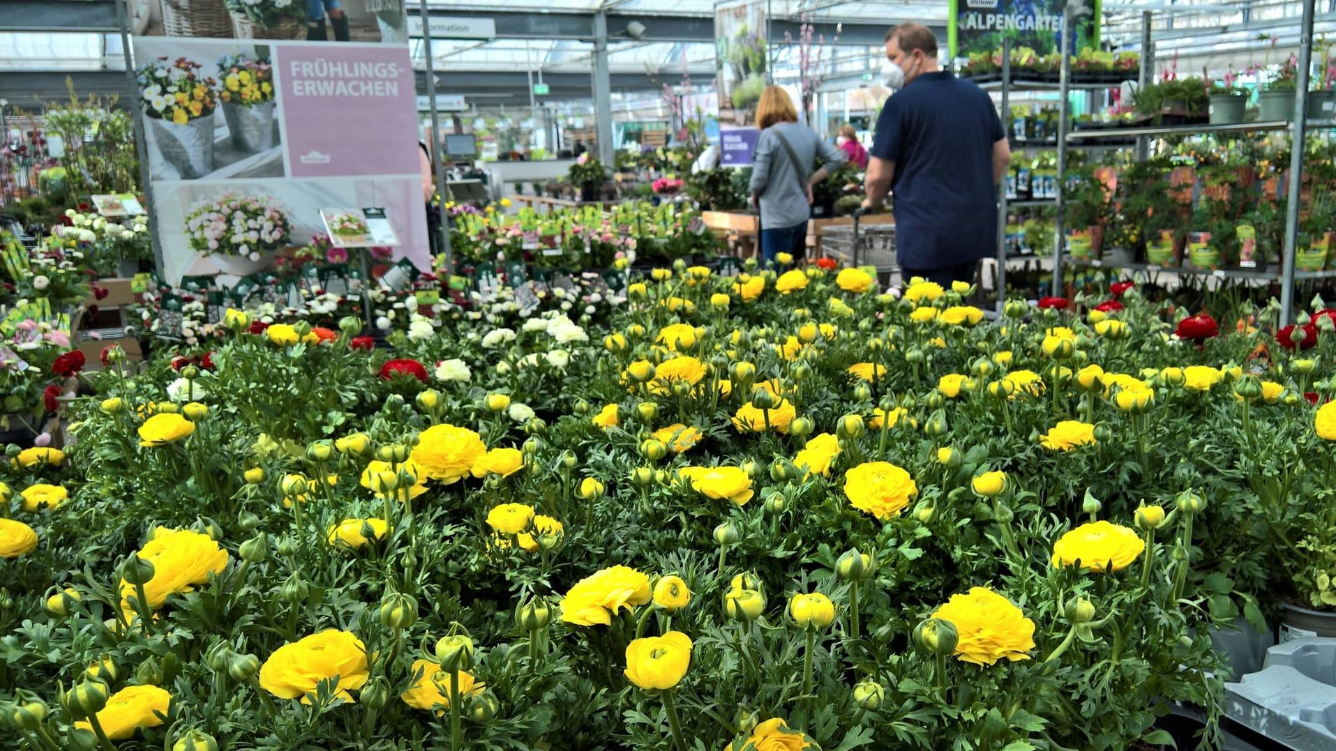 Blick in ein Gartencenter (Symbolbild): Heimgärtnern wurde durch Corona sehr beliebt.