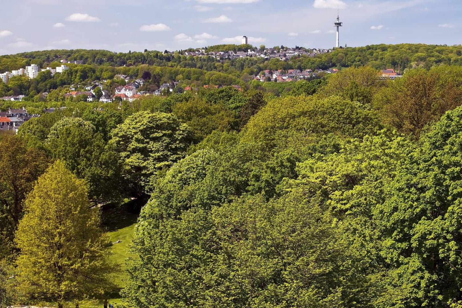 Das Parkgebiet der Hardt (Symbolbild): Hier plant die Stadt ein neues Schulgebäude.