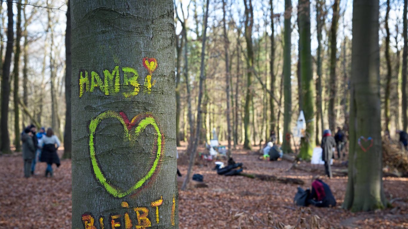 Schriftzug quot Hambi bleibt quot auf einem Baum im Hambacher Forst Hambi Wald Lettering quot Ha