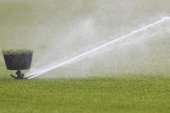 Rasen: Die WM in Katar soll möglichst nur mit geimpften Fans stattfinden.