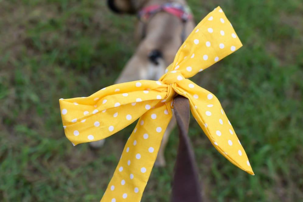 Gelbe Schleife: An einer Hundeleine hat sie eine bestimmte Bedeutung.